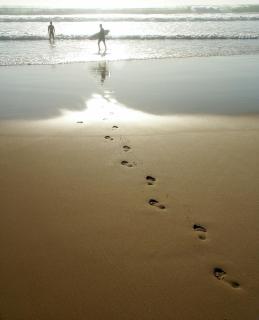 Tiki Villas Rainforest Lodge - Adults Only - 2