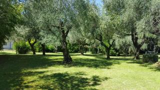 Villaggio Heliopolis - Manerba del Garda - 2