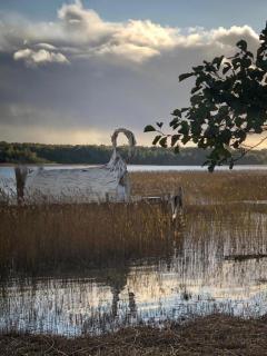 Gulbju māja - Swan house - 5
