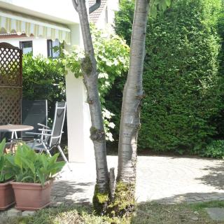 Garteneckchen - Emmendingen - 6