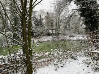 Gästewohnung Hardinghaus am Teich - Warendorf - 5