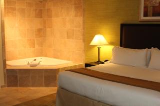 Holiday Inn Express Hotel & Suites Indianapolis W - Airport Area by IHG - Indianapolis - 4
