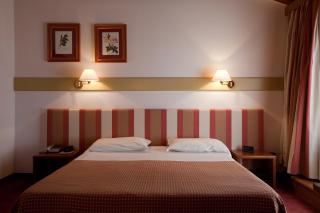 Eurohotel Palace Maniago - Maniago - 8