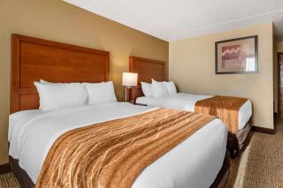 Comfort Inn & Suites - Triadelphia - 3