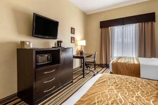 Comfort Inn & Suites - Triadelphia - 7