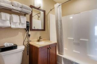 Comfort Inn & Suites - Triadelphia - 5