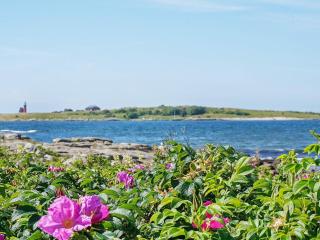 6 person holiday home in FALKENBERG-By Traum - Falkenberg - 5