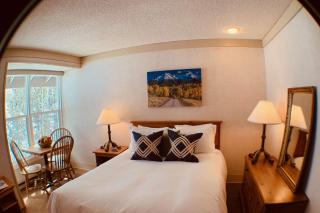 Mountaineer - Telluride - 0