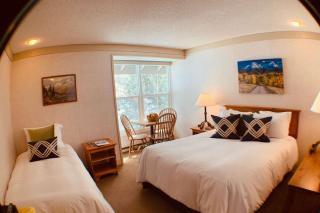 Mountaineer - Telluride - 7