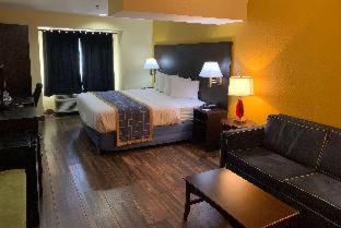 Days Inn & Suites by Wyndham Tampa/Raymond James Stadium - Tampa - 2