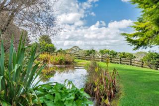 Dangela Boutique Lodge - Auckland - 7