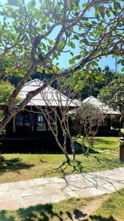 Thanya Beach Resort - SHA Plus - Ko Ngai - 8
