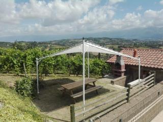 Villa Santoro ai TRE Ulivi con Piscina Privata - Caiazzo - 1