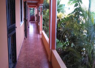 Room in Guest room - Apartahotel Next Nivel - Punta Cana - 1