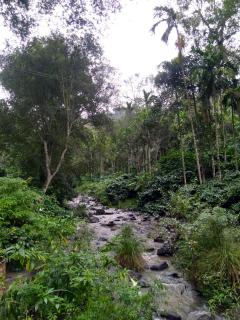 Siderbhan Homestay - Chikmagalūr - 1