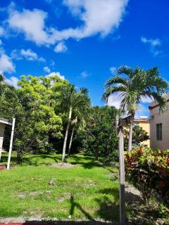 Ventnor House Apartments - Bridgetown - 1
