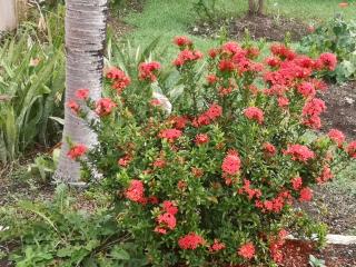 Ventnor House Apartments - 3