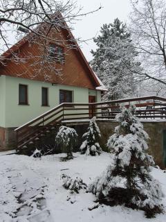Zelený dom - 9