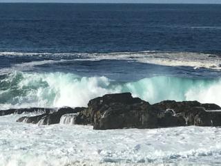 Hermanus Haven, entire home, on the sea, private pool, secure - Hermanus - 7
