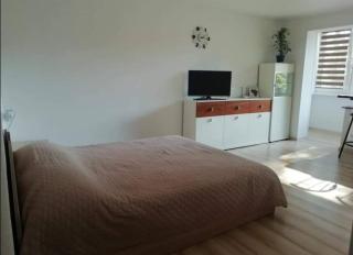 Light one room apartment - 1
