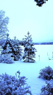 Kotalahden mökki - 5