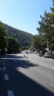 Monik apartament - Sinaia - 9