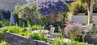 Clarence House Apartments - 6