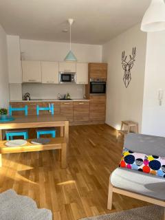 Apartman Jelen - 8