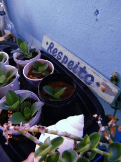 Vistamar Arco das Flores 2 - 2