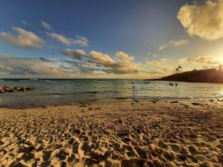 F3 _ Kaz ananas passion au Manganao - 1