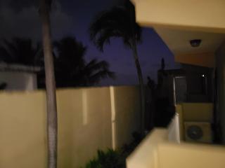 Selva Boutique Hotel - Luquillo Oceanfront Retreat - Adults Only - Luquillo - 5