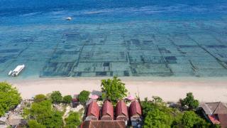 Santen Beach Bungalows - 9