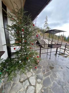 New 2020 specious cottage DRUZI - Bukovel - 4