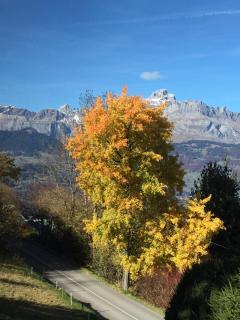 Le Caribou - Saint-Gervais-les-Bains - 8