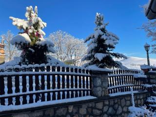 Guest House Vila Djokic - Zlatibor - 7