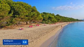 Albers Apartment - Port d'Alcudia - 6