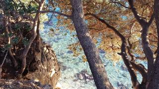 Apartments Adriatic 3 - Selce - 5