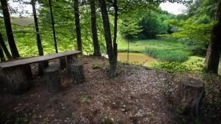 Apartman i sobe Pavek - 9