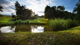 Apartman i sobe Pavek - 5