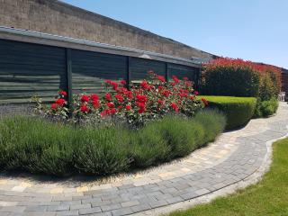 De achtertuin - Maasmechelen - 5