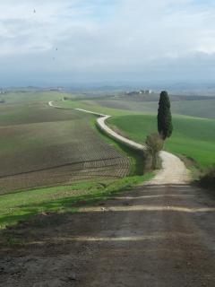 Gli Archi di Corsanello - Siena - 9