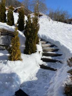LA PETITE AZALÉE - Montriond - 7