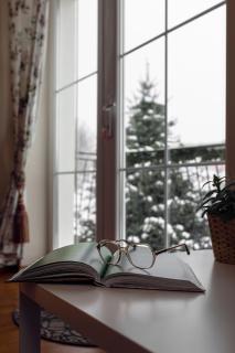 APARTAMENTY "LA VILLA" z klimatyzacją, ogrodem, parkingiem, blisko centrum - Kudowa-Zdrój - 2