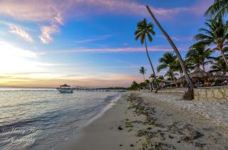 Pez 106 - Bayahibe - 8