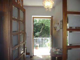 Apartment ANDRIUCI - Cavtat - 8