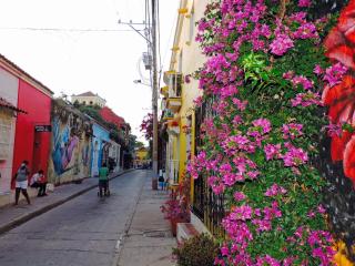 Apto en Getsemani el barrio mas cool de Cartagena - Cartagena das Índias - 8