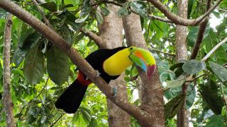 Boca Chica Bay Eco Lodge - 6