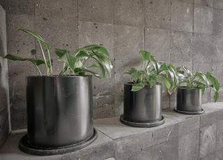 Armónico departamento Ciudad de México - 2