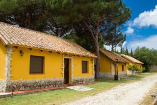Camping Vejer - 8