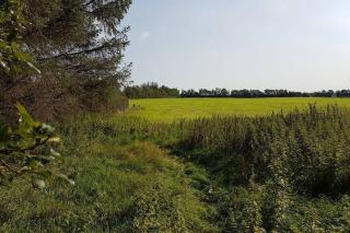 Urlaub zwischen den Meeren auf Hof Jørlon - Osterby - 2